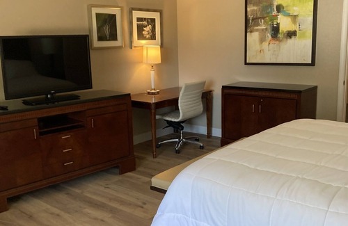 Wappapello Complejo | Newly renovated King Suite w/ high speed internet