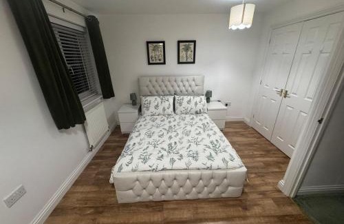 Newport Casa | Newport, South Wales