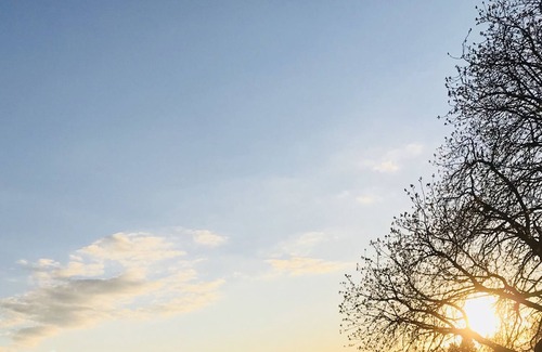 Allermohe Apartamento | Bonito apartamento con jardín - idílico y cerca de la ciudad