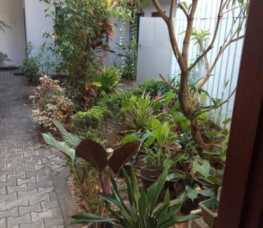 Mallawapitiya Hotel | Nightingale Inn