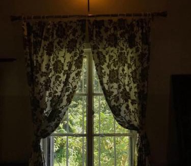 Jhargram Cabina | Niribili Homestay