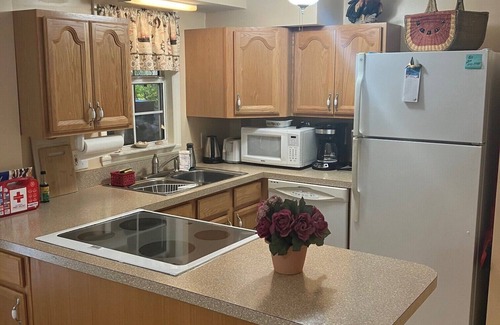 Bokeelia Apartamento | No Rat Race here at the Royal Flush.