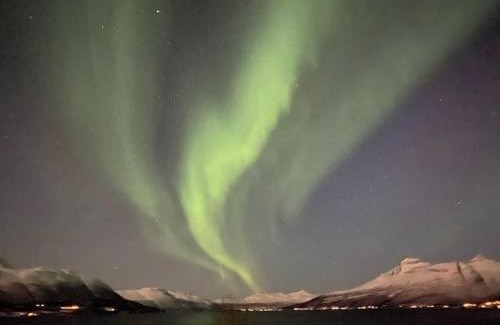 Balsfjord Apartamento | Northern Light Cottage