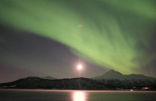 Balsfjord Apartamento | Northern Light Cottage