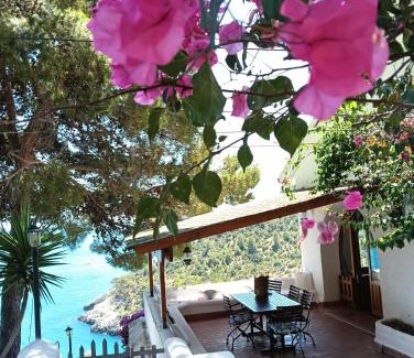 Vieste Villa | NSM Villa Carlotta E Villa Guarda che Mare in Vieste - Gargano- Puglia