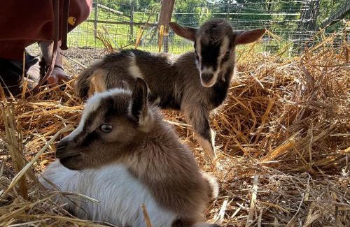 Bettola Casa | Nuovo Agriturismo Villa Enrichetta