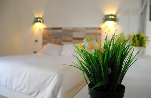 Residencial ROMANA Hotel | Nuovo Hotel Playa Catalina