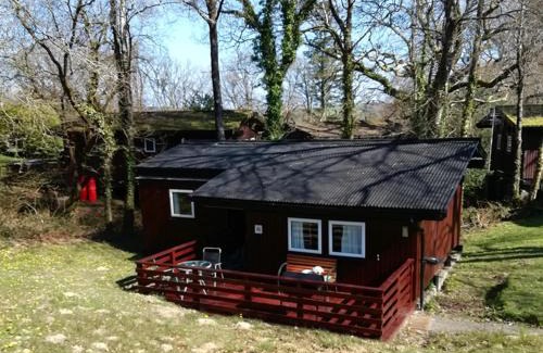 Cenarth Casa | Nuthatch Lodge is set in 24 acres of wood, parkland near the village of Cenarth