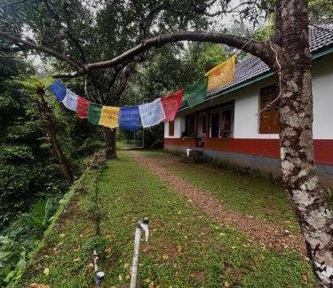 Pala Casa | Nutmeg nirvana