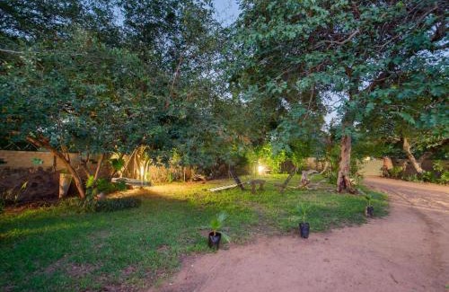 Kasane Casa | Nxabii Cottages