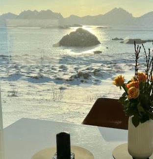 Oksnes Villa | Nyksund, Huset på Skåltofta