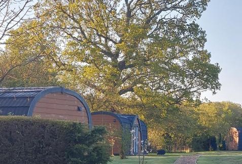 Beccles Cabina | Oak Lodge Pods
