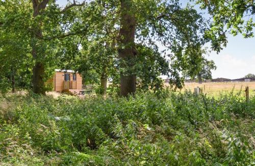 Irstead Casa | Oak - Ukc4846