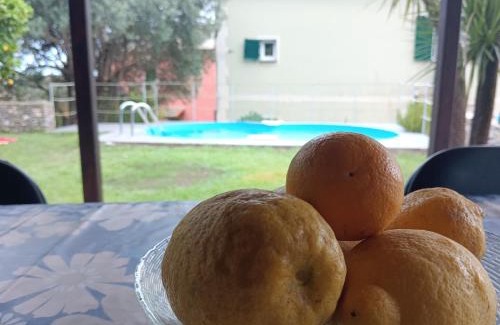 Nervi Apartamento | Oasi a Sant'Ilario