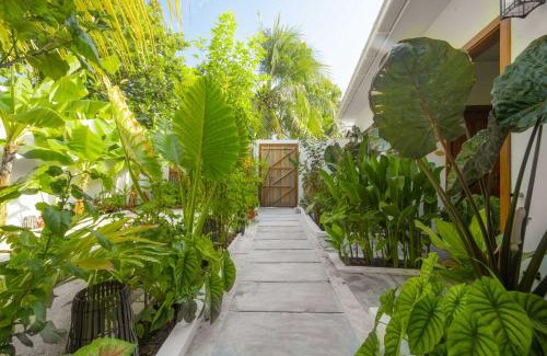 Dhigurah Hotel | Oasis Dhigurah