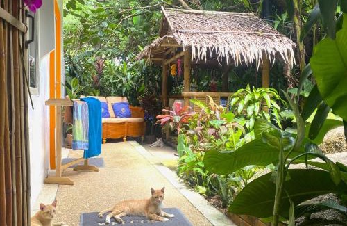 Karon Hotel | Oasis HONEYMOON Garden Suite