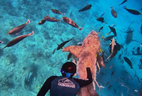 Kudahuvadhoo Casa | Oceana Inn Hotel Maldives - Snorkeling, Sandbank & Surfing Adventures in Kudahuvadhoo Island