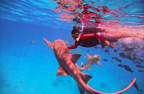 Kudahuvadhoo Casa | Oceana Inn Hotel Maldives - Snorkeling, Sandbank & Surfing Adventures in Kudahuvadhoo Island