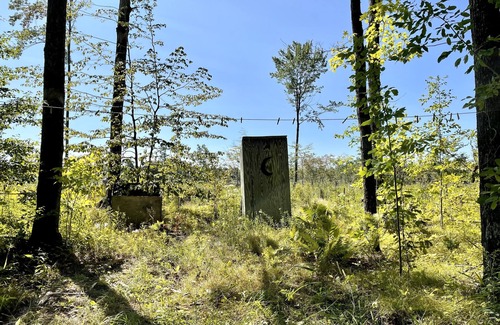 Westboro Cabina | Off grid solar a-frame cabin Northwoods Farm Stay Hundreds of Acres to Explore