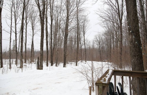 Westboro Cabina | Off grid solar a-frame cabin Northwoods Farm Stay Hundreds of Acres to Explore
