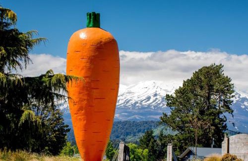 Ohakune Complejo | Ohakune TOP 10 Holiday Park