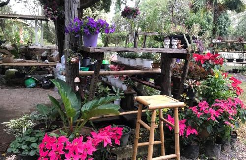 Det Udom Complejo | Ok Farm Resort