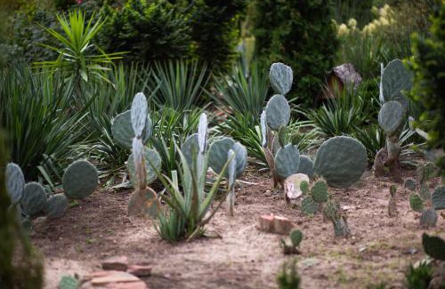 gmina Sompolno Hotel | Old Garden