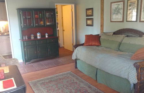 Myakka City Apartamento | Antiguo estudio de Myakka. Ubicación privilegiada para la observación de aves y la vida silvestre!