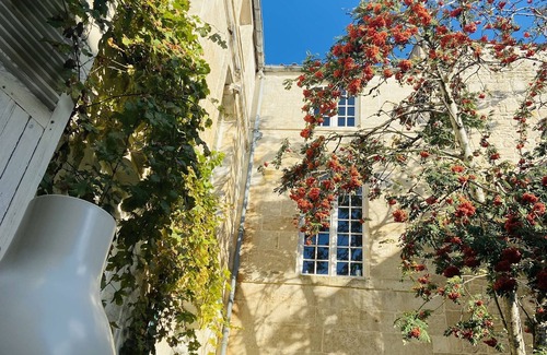 Centre Ville Casa | Old Rose