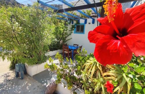 Ferma Apartamento | Oleander's Garden Traditional Cretan Cottage