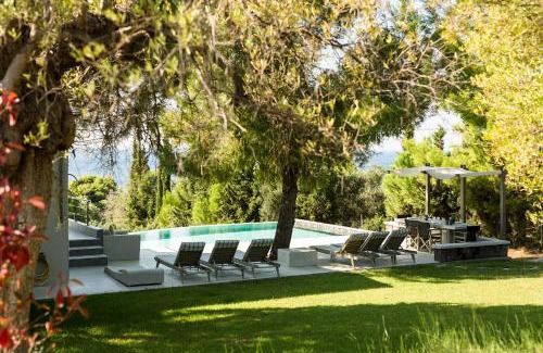 Elia Villa | Olivia Estate Villa with Private Swimming Pool