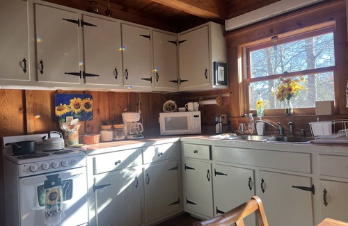 Houston Cabina | Oma's Cabin on Arkansas River - cozy remote cabin overlooking the Arkansas River