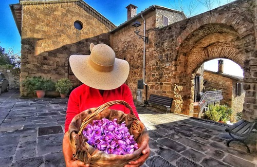 Monteguidi Cabaña | en la cima de la colina toscana