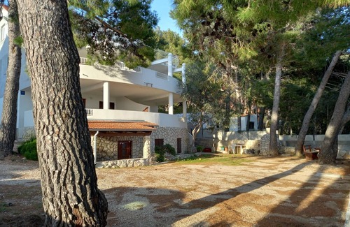 Ivan Dolac Apartamento | Apartamento de una habitación en la playa Ivan Dolac, Hvar (A-21269-c)