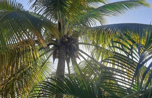 Scarborough Casa | onelovecottagetobago holiday home