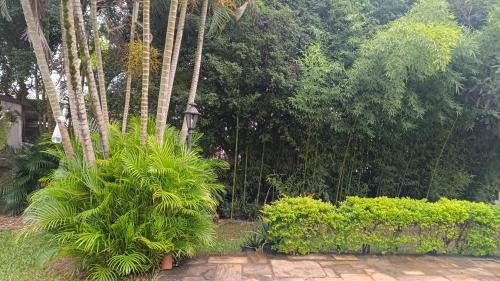 Jardim Oriental Casa | Open House Timboré