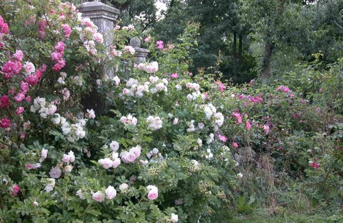 Nustrow Casa | Orangerie en el antiguo