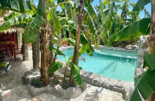 Tanetane Apartamento | ORCHID RESORT Ltd