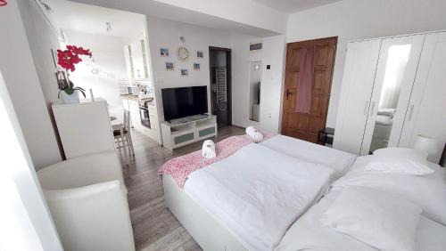 Veszprem Apartamento | Orchidea Veszprém Apartman