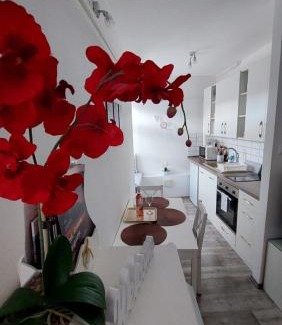 Veszprem Apartamento | Orchidea Veszprém Apartman