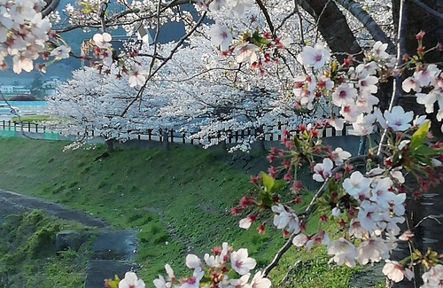 Hidakagawa Casa | Organic Veg&eco&traditional Farmstay D&B Included