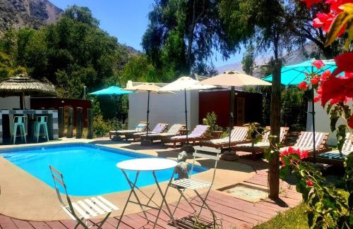 Vicuna Cabina | Organica Lodge Hotel Boutique