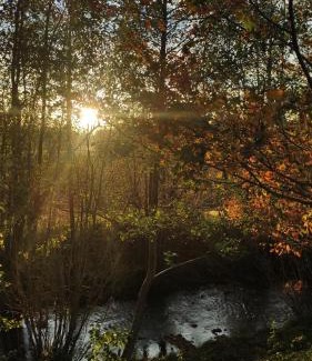 Mirsk Casa | Osada Mrożynka