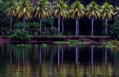 Sierpe Hotel | Oso de Osa