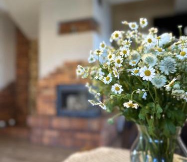 Ilawa Villa | Ostoja Jeziorak Jezierzyce