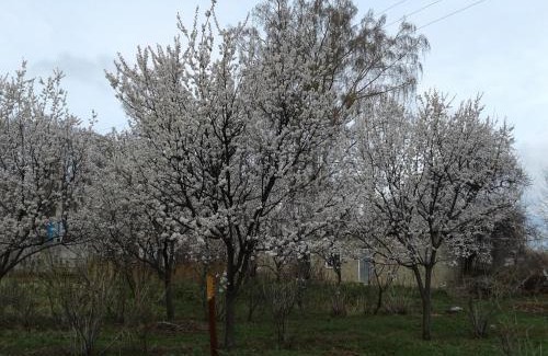 Karakol Hotel | Otel Issyk-Kul Karakol