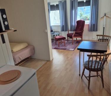Lebesby Apartamento | Overnatting Kjøllefjord, Hybelleilighet med kjøkkenkrok og eget bad