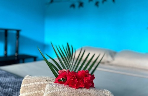 Bahía Drake Hotel | Pacific Breeze Lodge