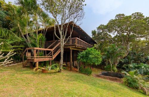 Palm Beach Casa | Palm Beach House- Up in the trees