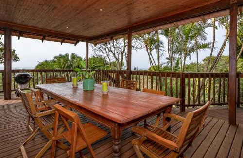 Palm Beach Casa | Palm Beach House- Up in the trees